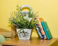 Кровать в общем 2-местном номере для женщин Хостел Хостел Koenig Hostel Калининград без звезд