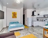 Апартаменты «Студия» Апартаменты Апартаменты Dalaman-Rostov apartments Ростов-на-Дону без звезд Забронируй по своей цене!