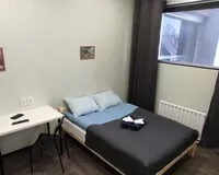 Двухместный номер с 1 кроватью Отель Отель Сон lite Екатеринбург без звезд