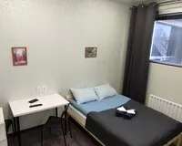 Двухместный номер с 1 кроватью Отель Отель Сон lite Екатеринбург новый объект без отзывов