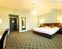 Двухместный номер с 1 кроватью «Стандарт» Отель Отель Zavidovo Resort деревня Тешилово 3 звезды
