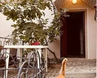 Дом/коттедж 2 спальни Мини-отель Коворкинг-парк-отель IT Dacha Геленджик без звезд