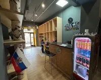 Кровать в общем 8-местном номере для мужчин Хостел Хостел Vozduh Красноярск без звезд новый объект