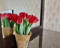 Четырехместный номер «Люкс» Отель Апарт-отель Red Rose посёлок городского типа Сириус без звезд 5% скидка по промокоду!