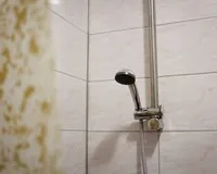Двухместный номер с 2 кроватями База отдыха База отдыха Сямозеро Пряжинский район новый объект без отзывов