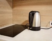 Апартаменты 2 местные с кухней База отдыха База отдыха Сямозеро Пряжинский район