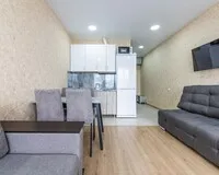 Апартаменты 3 местные с кухней Апартаменты Апартаменты Oplot Apartments City Plaza Сочи