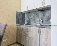 Апартаменты 3 местные с кухней Апартаменты Апартаменты Oplot Apartments City Plaza Сочи