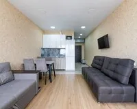Апартаменты 3 местные с кухней Апартаменты Апартаменты Oplot Apartments City Plaza Сочи