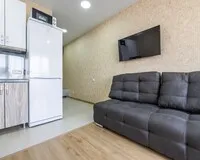 Апартаменты 3 местные с кухней Апартаменты Апартаменты Oplot Apartments City Plaza Сочи