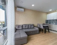 Апартаменты 3 местные с кухней Апартаменты Апартаменты Oplot Apartments City Plaza Сочи