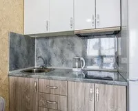 Апартаменты 3 местные с кухней Апартаменты Апартаменты Oplot Apartments City Plaza Сочи