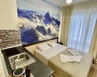Апартаменты 2 местные с кухней Апартаменты Апартаменты Oplot Apartments посёлок городского типа Красная Поляна без звезд без отзывов