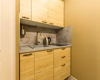 Апартаменты «Де-Люкс» Апартаменты Апартаменты Oplot Apartments посёлок городского типа Красная Поляна без отзывов 5% скидка по промокоду!