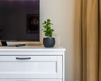 Апартаменты 1 спальня Апартаменты Апартаменты Oplot Apartments посёлок городского типа Красная Поляна без звезд новый объект Забронируй по своей цене!