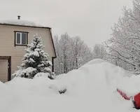 Дом/коттедж 2 спальни База отдыха База отдыха Forrest СНП Свой Дом