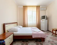 Двухместный номер Гостиница Гостиница Баязет посёлок городского типа Новомихайловский без отзывов