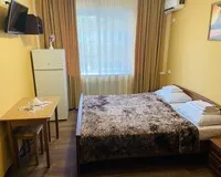 Двухместный номер с 1 кроватью Отель Отель Каштан Ростов-на-Дону рейтинг 3.0