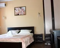 Двухместный номер с 1 кроватью Отель Отель Каштан Ростов-на-Дону 5 отзывов