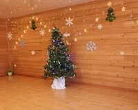 Дом/коттедж 6 спален Гостевой дом Гостевой дом Комплекс Удачный Красноярск