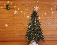 Дом/коттедж 6 спален Гостевой дом Гостевой дом Комплекс Удачный Красноярск