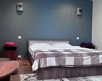 Двухместный номер с 1 кроватью, душем и туалетом Гостиница Гостиница Сибирия посёлок городского типа Шерегеш без отзывов 5% скидка по промокоду!