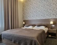 Двухместный номер с 1 кроватью, душем и туалетом Отель Отель 338 на Мира Санкт-Петербург 3 звезды
