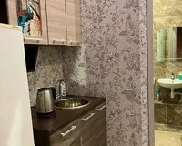 Двухместный номер с 1 кроватью, душем и туалетом Апарт-Отель Апарт-Отель Окружной Москва 5 отзывов