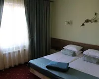 Двухместный номер с 1 кроватью «Люкс» Мини-отель Мини-отель Art-Room посёлок Красный Бор новый объект