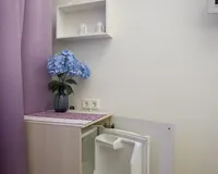 Двухместный номер с 1 кроватью «Стандарт» Гостевой дом Гостевой дом Veneta Rooms Санкт-Петербург без звезд