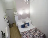 Двухместный номер с 1 кроватью «Стандарт» Гостевой дом Гостевой дом Veneta Rooms Санкт-Петербург