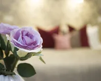 Трехместный номер «ДеЛюкс» Гостевой дом Гостевой дом Veneta Rooms Санкт-Петербург