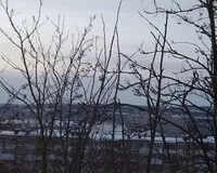 Апартаменты 4 местные с кухней Апартаменты Апартаменты 1-к. квартира в Первомайском районе Мурманска Мурманск новый объект Забронируй по своей цене!